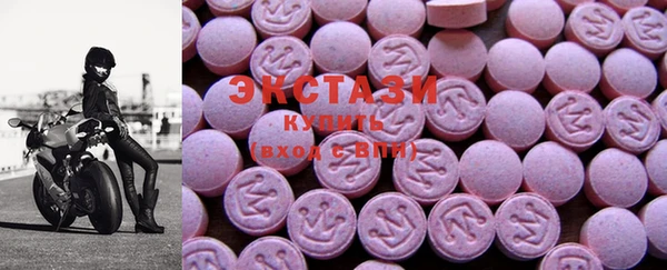 ECSTASY Богородицк