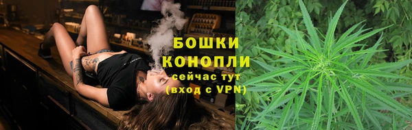 ECSTASY Богородицк